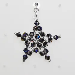 Pierces - Silver 925 - Earrings Corvus - Pierces - Silver 925 - Argent 925